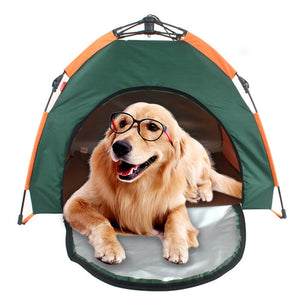 Unleash Adventure with the Outdoor Pet Tent!