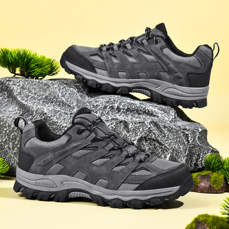 4aa8efacf62d47c0de6a22298e2cca55